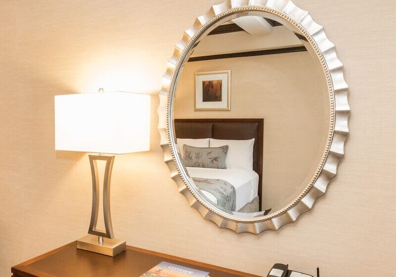 豪华房间, The Belvedere