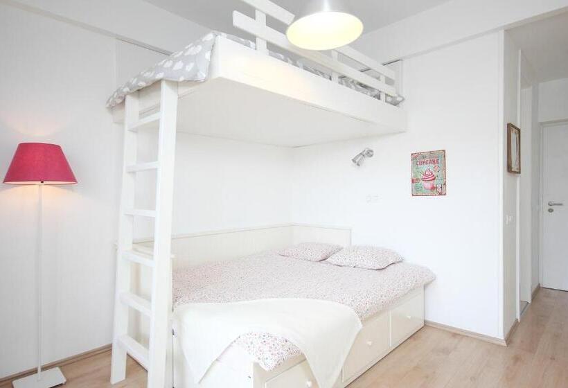 إستديو عائلى, Bled Rose