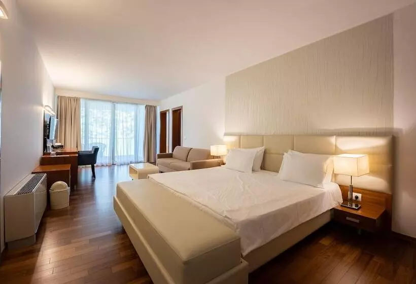اتاق سوپریور, Boutique Hotel Portorose