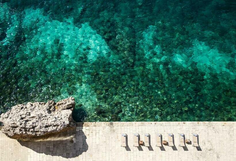 海景经济间, Excelsior