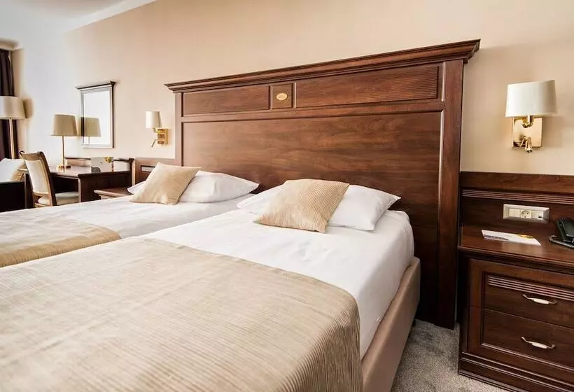اتاق استاندارد با چشم‌انداز دریا, Grand Hotel Neum Wellness & Spa