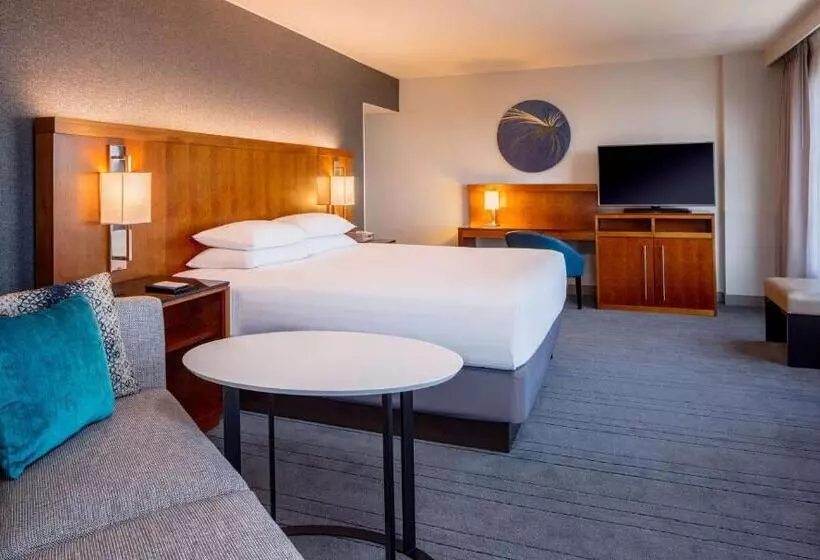اتاق استاندارد با تخت بزرگ, Hyatt Regency Crystal City At Reagan National Airport