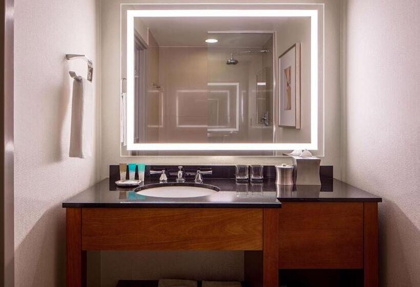 Люкс, Hyatt Regency Crystal City At Reagan National Airport