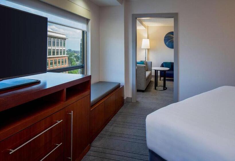 Люкс, Hyatt Regency Crystal City At Reagan National Airport