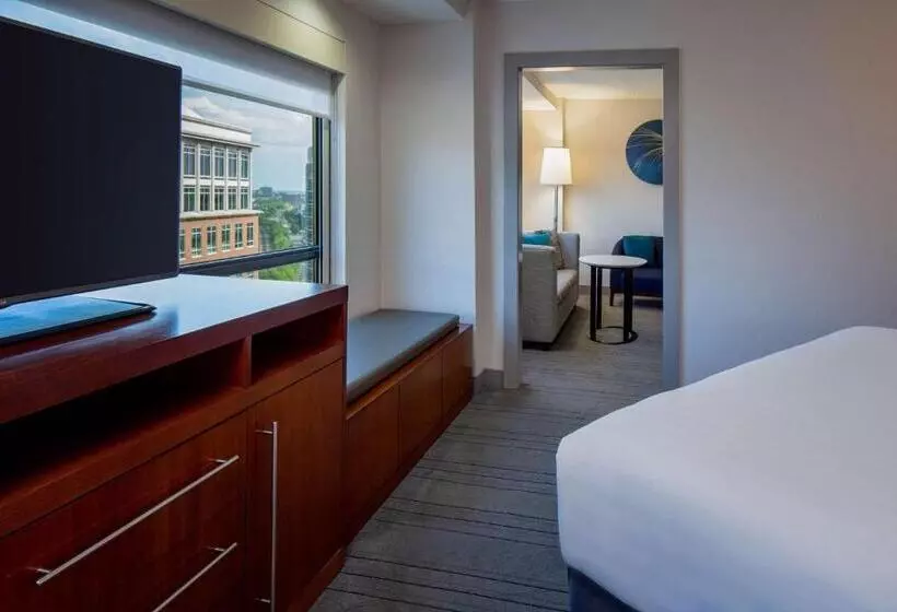 سوییت, Hyatt Regency Crystal City At Reagan National Airport