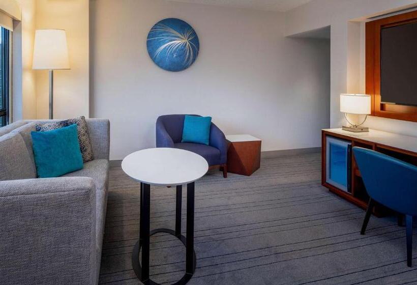 Люкс, Hyatt Regency Crystal City At Reagan National Airport