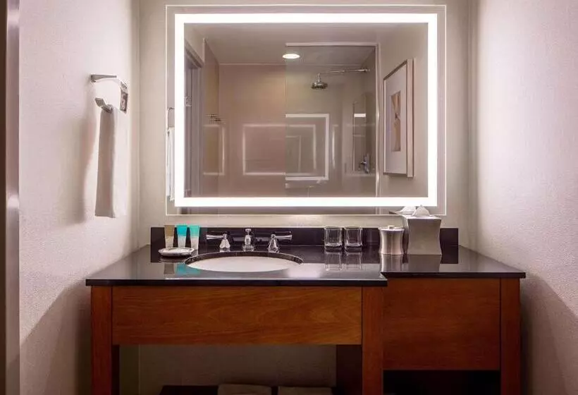 اتاق استاندارد با تخت بزرگ برای معلولان, Hyatt Regency Crystal City At Reagan National Airport