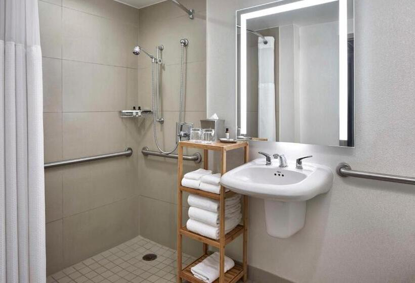 Номер Стандарт Кровать Кинг Адаптированный для Инвалидов, Hyatt Regency Crystal City At Reagan National Airport