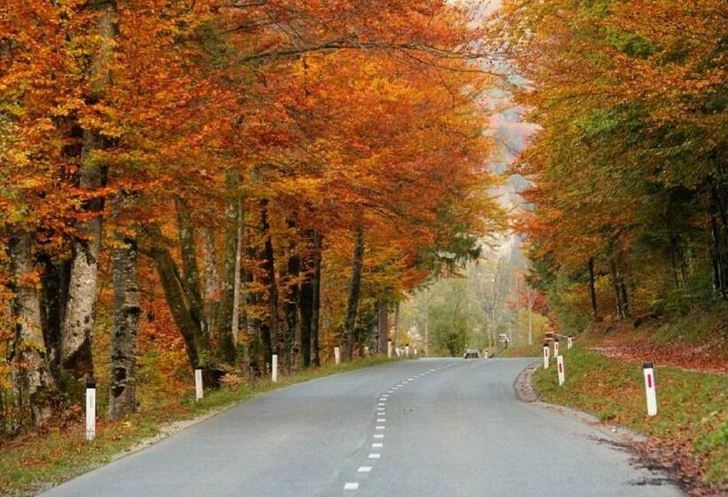 اتاق استاندارد با بالکن, Jezero