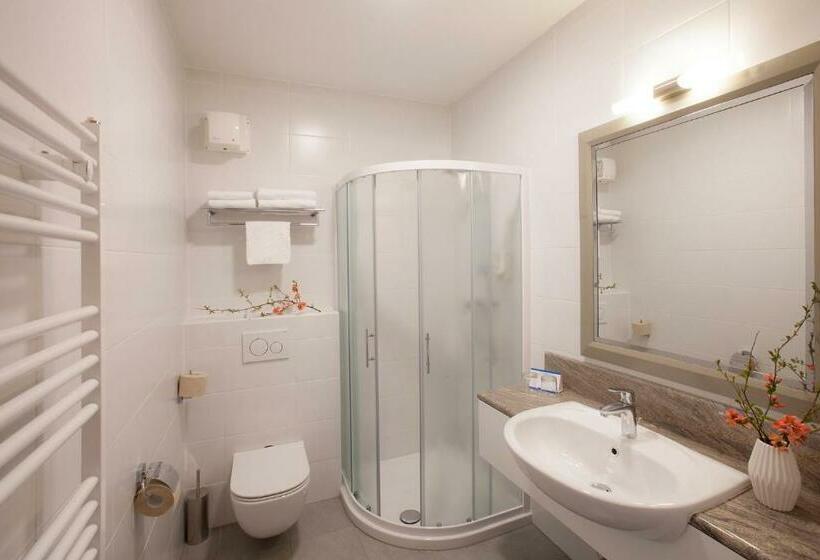 اتاق استاندارد یک تخته با بالکن, Jezero