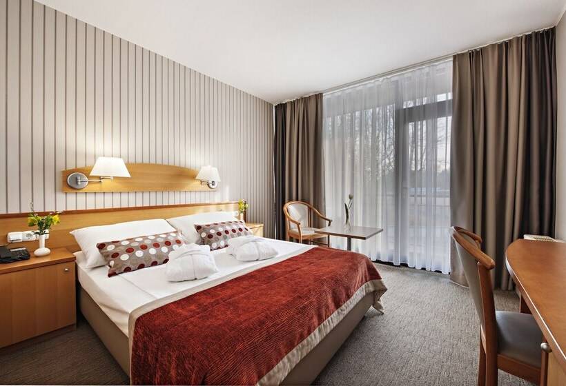 اتاق اکونومی, Termal   Terme 3000   Sava Hotels & Resorts