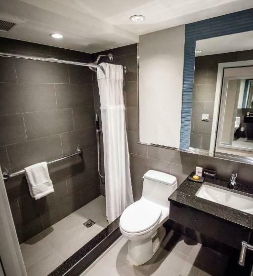 高级大房间, The Belvedere