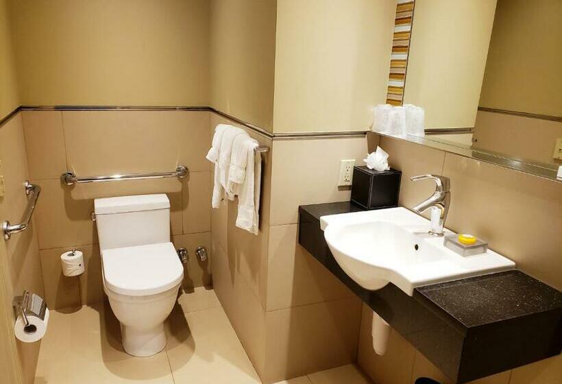 适合残疾人士使用的带超级大床的标准间, The Belvedere