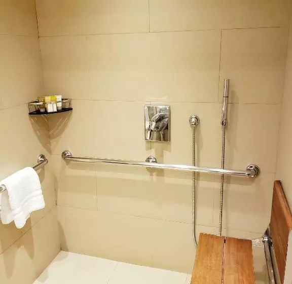 اتاق استاندارد با تخت بزرگ برای معلولان, The Belvedere