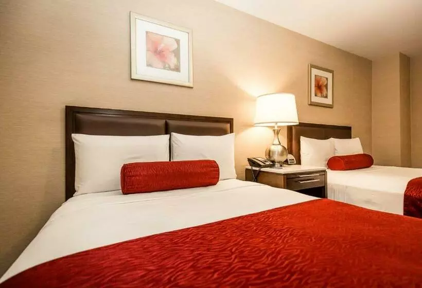 اتاق استاندارد با 2 تخت دوبل, The Belvedere