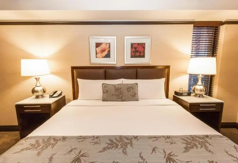 Superior Room King Size Bed