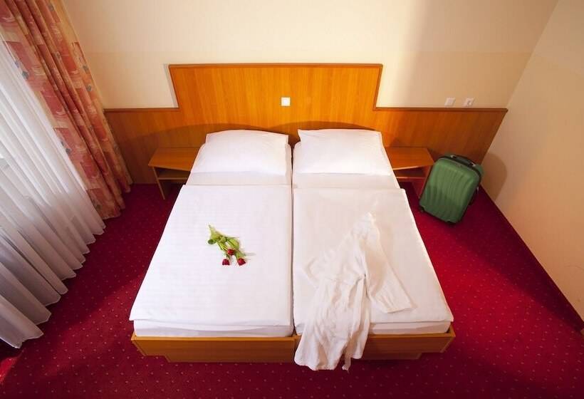 اتاق استاندارد, Terme Topolsica Hotel Vesna