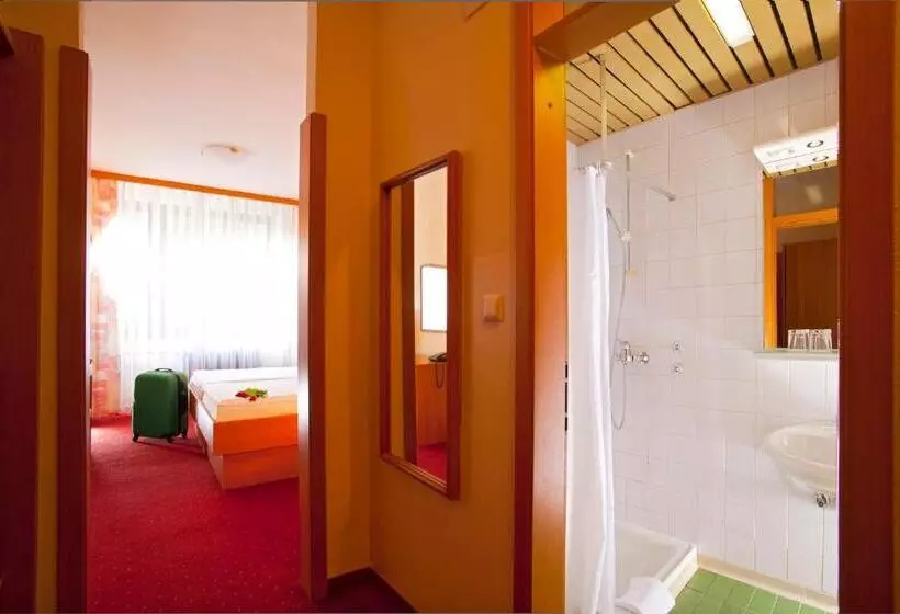スタンダードルーム, Terme Topolsica Hotel Vesna