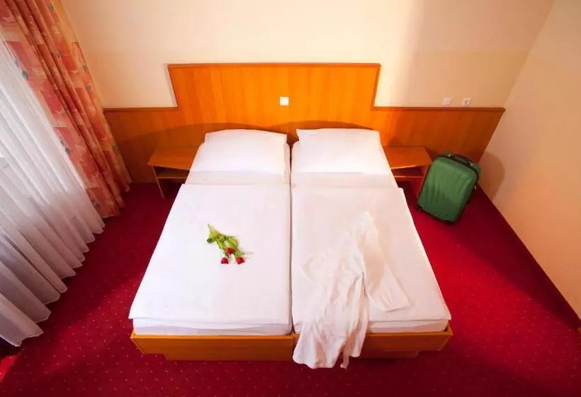 スタンダードルーム, Terme Topolsica Hotel Vesna