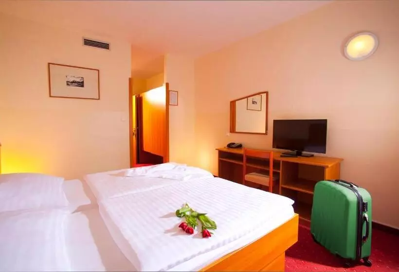 スタンダードルーム, Terme Topolsica Hotel Vesna