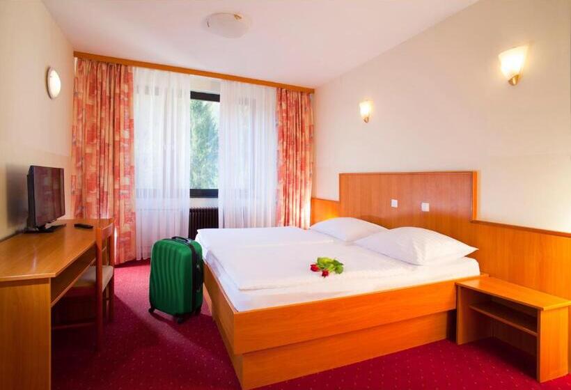 اتاق استاندارد, Terme Topolsica Hotel Vesna