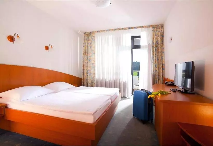 バルコニー付きスタンダードルーム, Terme Topolsica Hotel Vesna