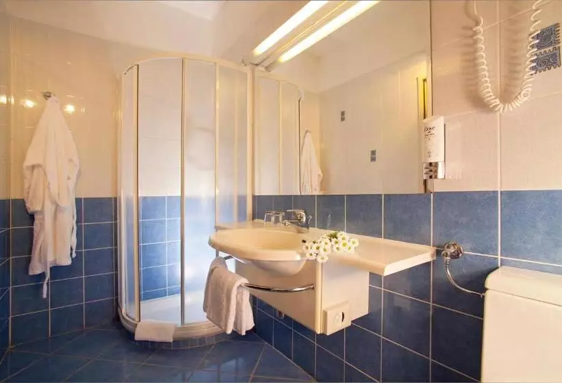 コンフォートルーム, Terme Topolsica Hotel Vesna
