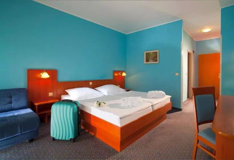 コンフォートルーム, Terme Topolsica Hotel Vesna