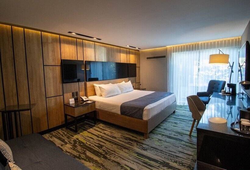 חדר סופריור, Araiza Mexicali