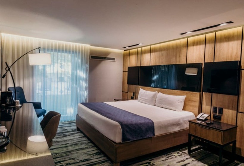 חדר סופריור, Araiza Mexicali