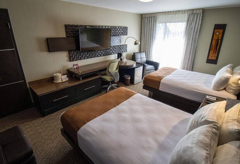 חדר סטנדרט, Araiza Mexicali