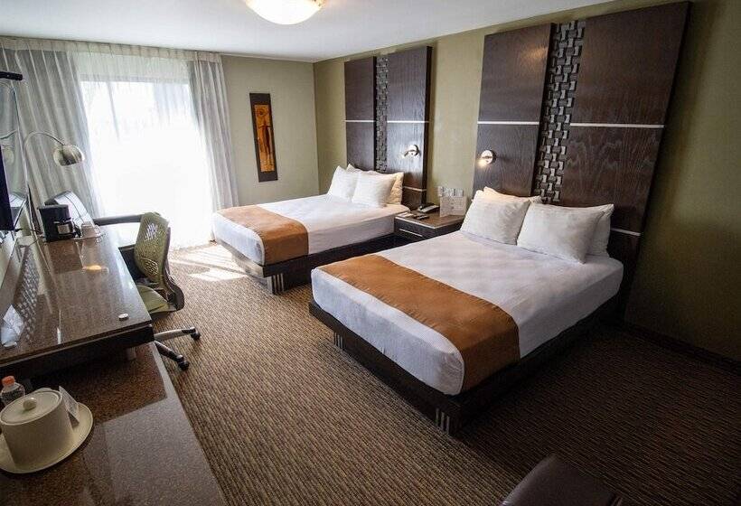 חדר סטנדרט, Araiza Mexicali