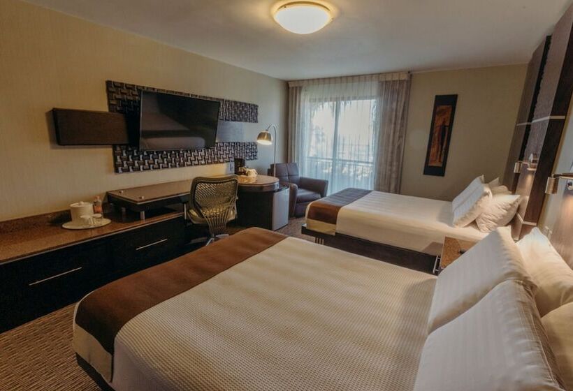 חדר סטנדרט, Araiza Mexicali