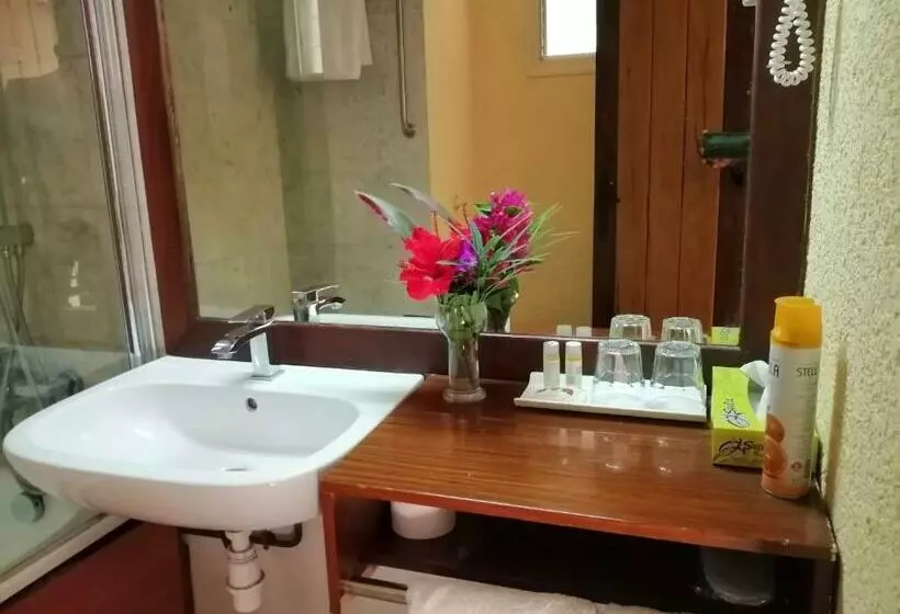 اتاق استاندارد با چشم‌انداز دریا, Jardin Savana Dakar