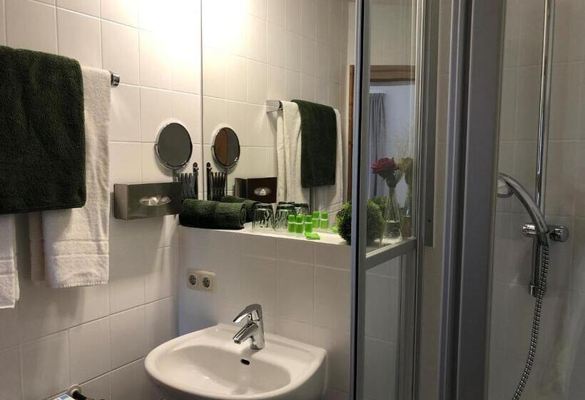 Номер Superior Одноместный, Mäsers Allgäuherz