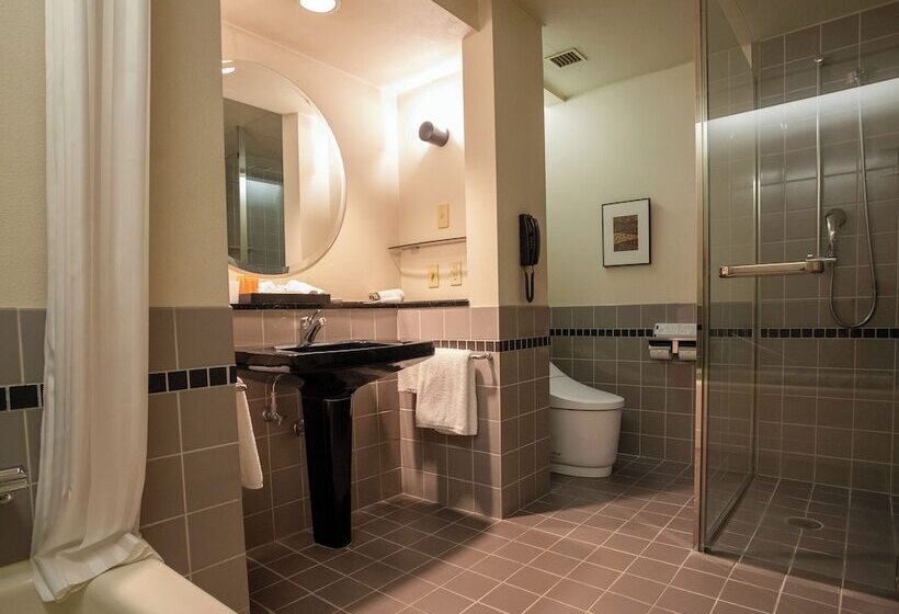 חדר סופריור, Premier Hotel  Tsubaki  Sapporo