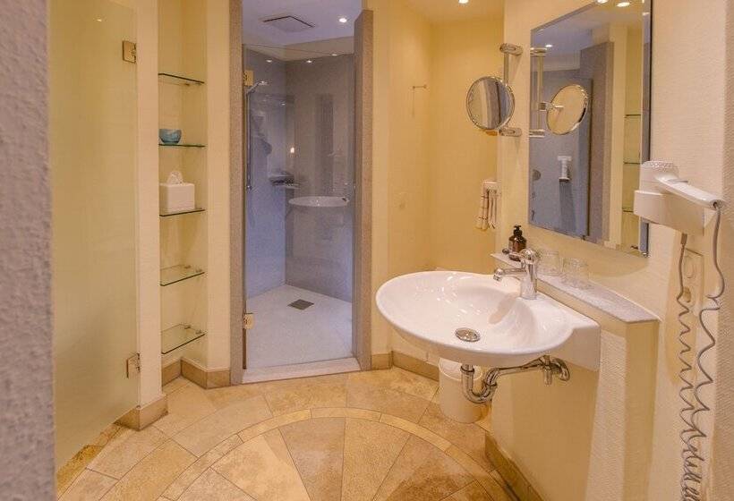 Номер Стандарт Индивидуальный, Romantik Hotel Gasthaus Rottner