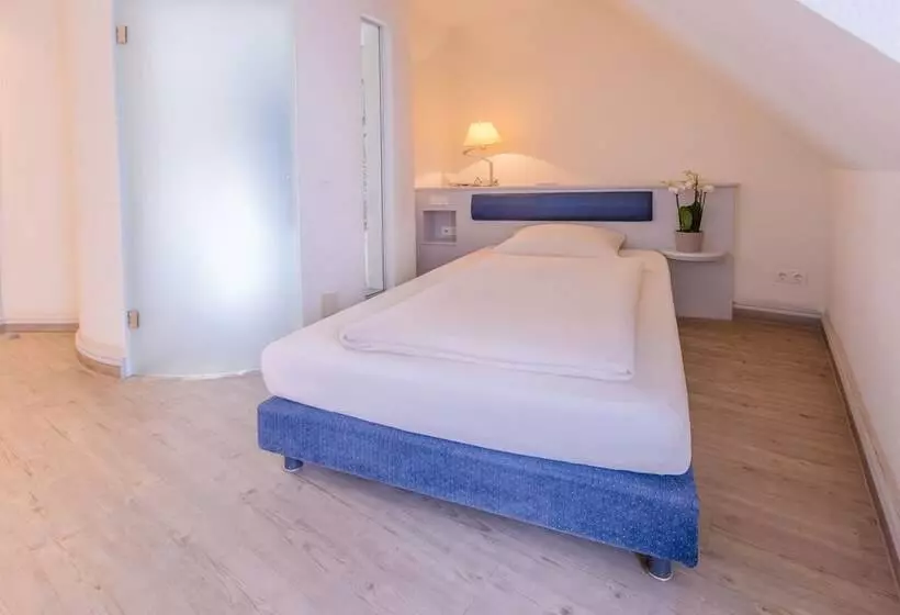 اتاق اکونومی یک تخته, Romantik Hotel Gasthaus Rottner