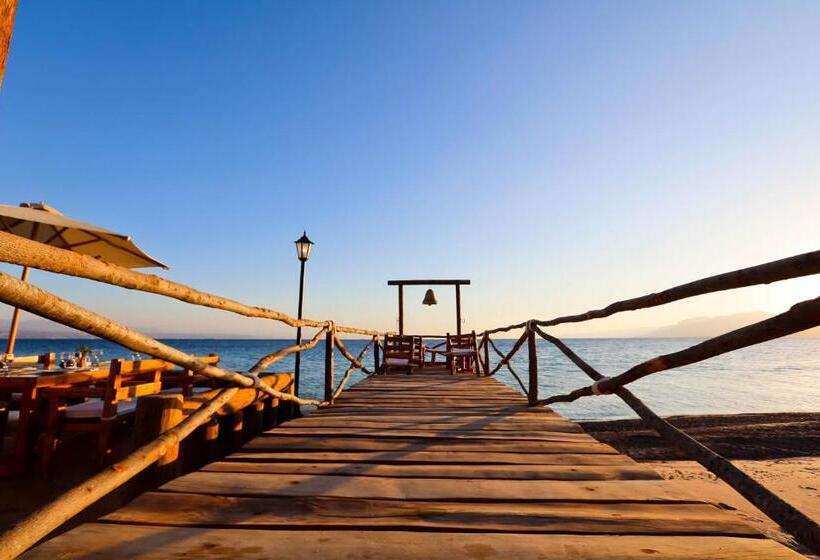 اتاق لوکس خانوادگی, Steigenberger Hotel & Nelson Village, Taba