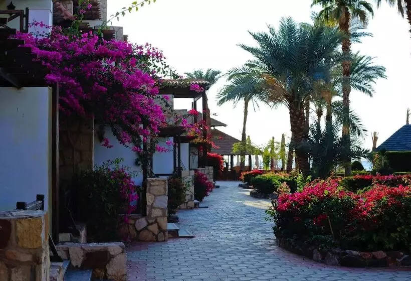اتاق خانوادگی, Steigenberger Hotel & Nelson Village, Taba