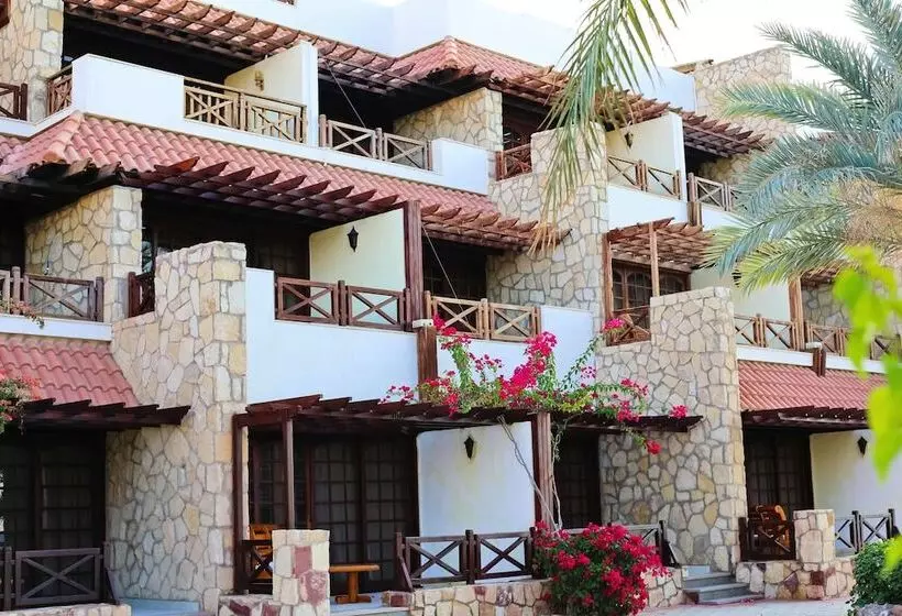 اتاق خانوادگی, Steigenberger Hotel & Nelson Village, Taba