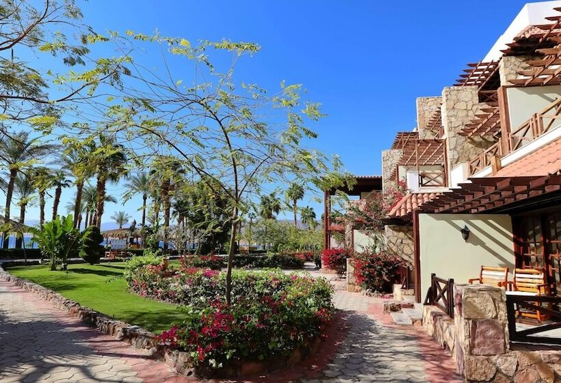 اتاق لوکس با چشمانداز دریا, Steigenberger Hotel & Nelson Village, Taba