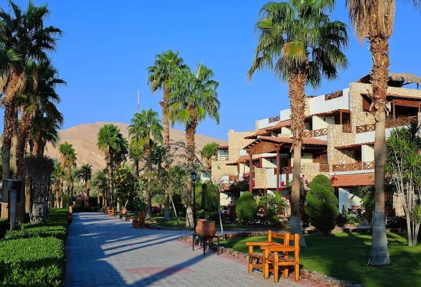 اتاق لوکس با چشمانداز دریا, Steigenberger Hotel & Nelson Village, Taba