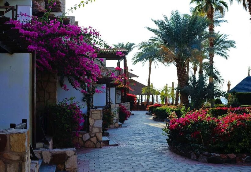 اتاق لوکس خانوادگی, Steigenberger Hotel & Nelson Village, Taba