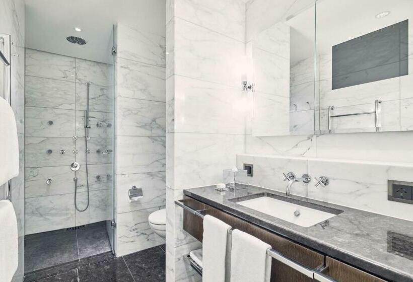 اتاق سوپریور یک تخته, The Dolder Grand City And Spa Resort Zurich