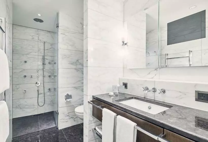 اتاق سوپریور یک تخته, The Dolder Grand   City And Spa Resort Zurich