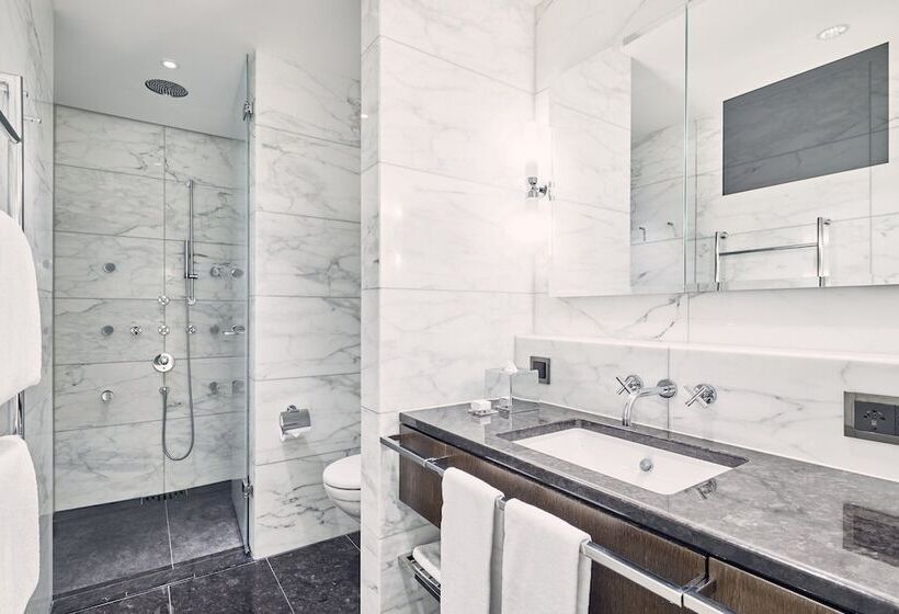 اتاق سوپریور یک تخته, The Dolder Grand City And Spa Resort Zurich