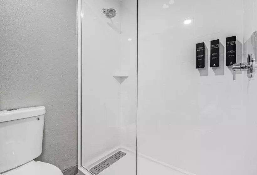 اتاق استاندارد با تخت بزرگ, Avania Inn Of Santa Barbara