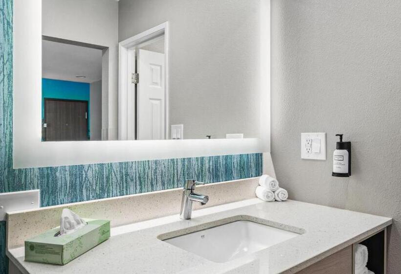 غرفة قياسية سرير ملكى لذوى الإحتياجات الخاصة, Avania Inn Of Santa Barbara