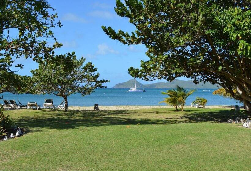 استودیو استاندارد با چشمانداز باغ, Oualie Beach Resort